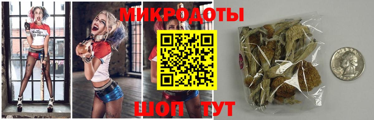 Галлюциногенные грибы Magic Shrooms  Галлюциногенные грибы Psilocybine cubensis  Саяногорск  Вход с VPN 